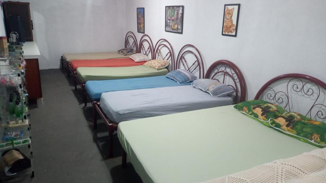 Hostel Santuario De Protecao Animal Filhos De Salomao Bragança Paulista Extérieur photo