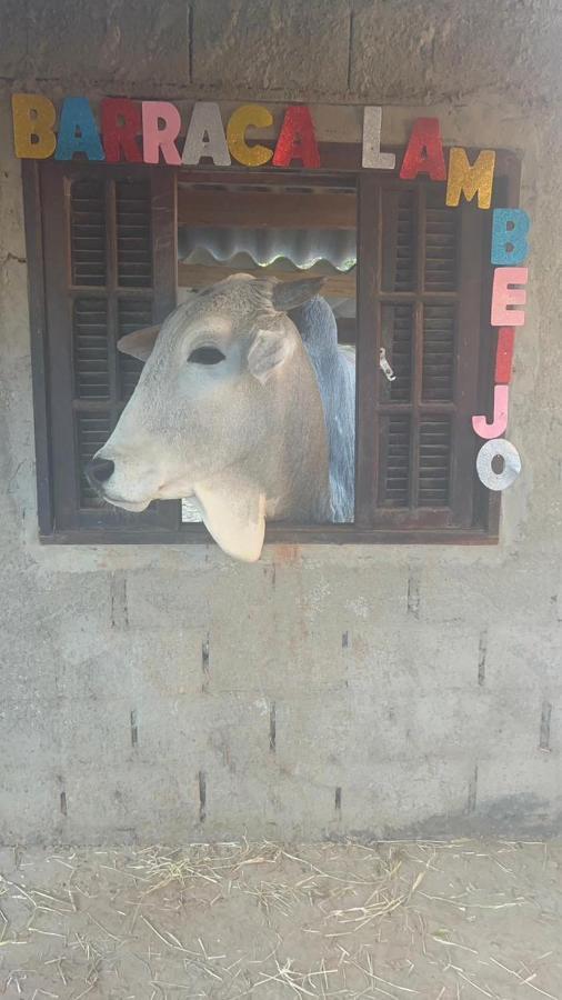 Hostel Santuario De Protecao Animal Filhos De Salomao Bragança Paulista Extérieur photo